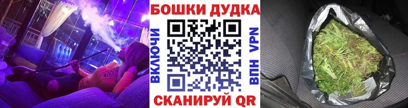 Конопля сатива  Рыльск 